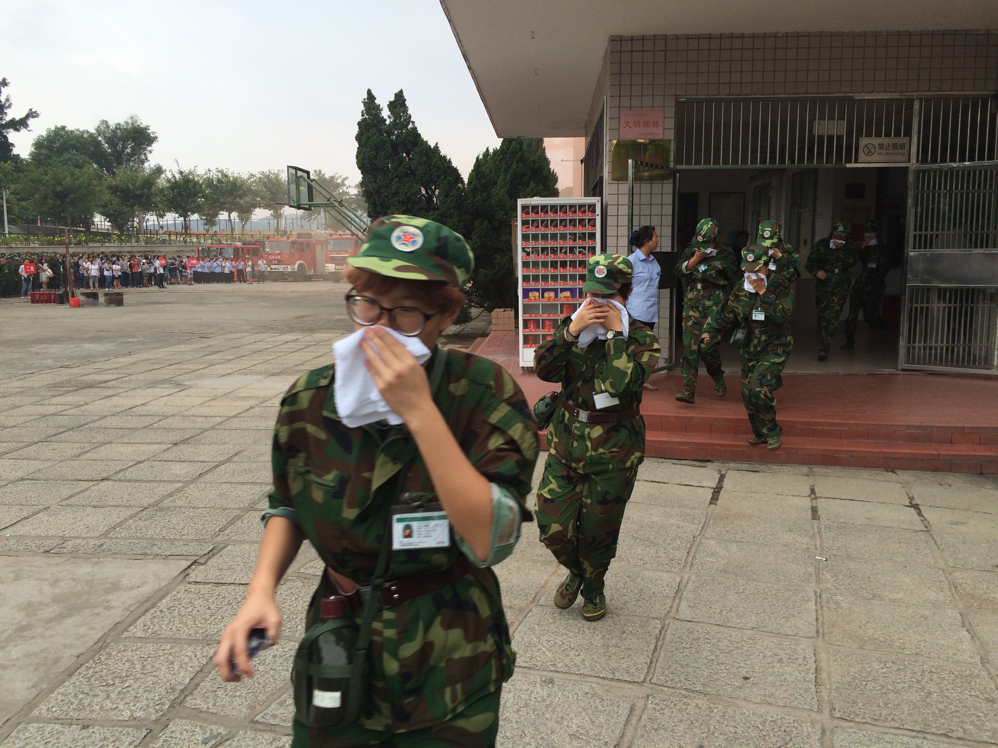 ����������ɢ